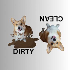 CORGI Clean Dirty Dishwasher Flexible Magnet